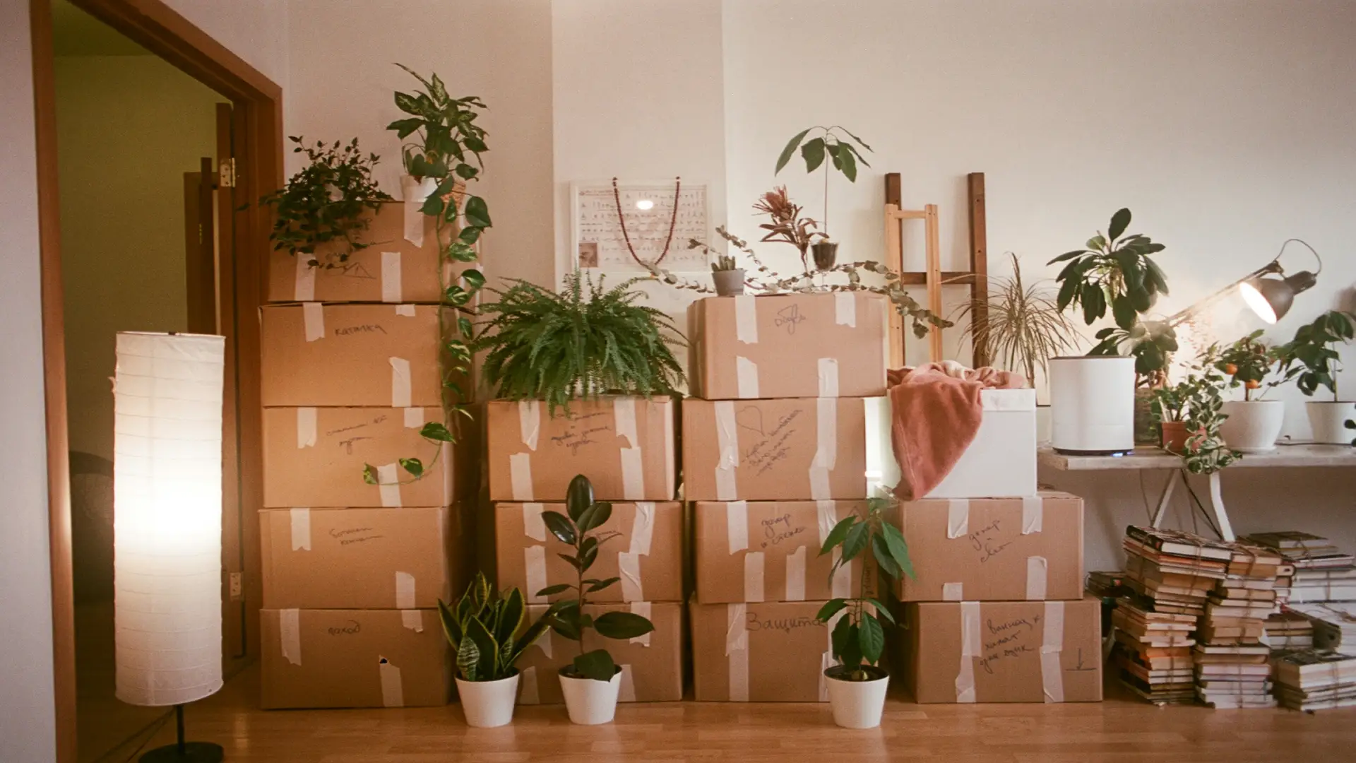 Professional removal service in Ealing by One Step Removals